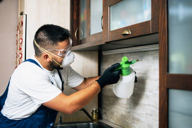 Best Local Pest Control Services  in Somerset, WI