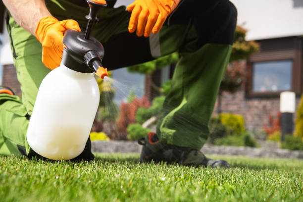 Best Pest Control for Homes  in Somerset, WI