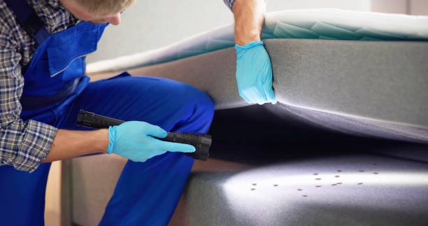 Best Pest Control Near Me in Somerset, WI