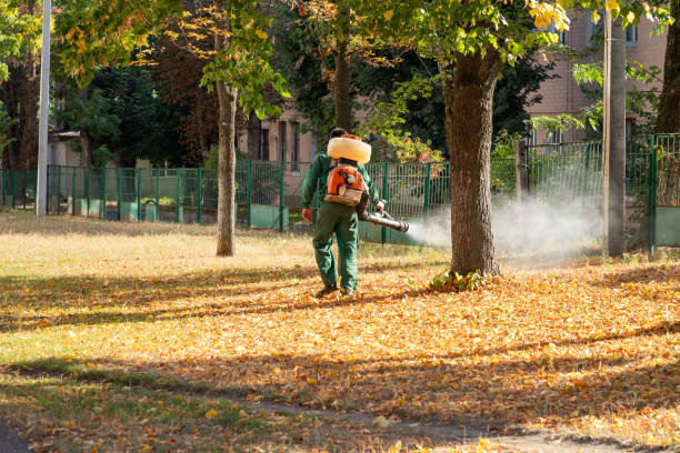 Best Pest Removal Services  in Somerset, WI